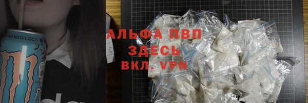 сатива Корсаков