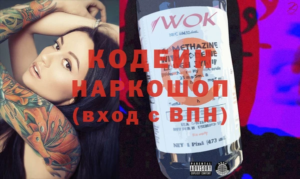 сатива Корсаков