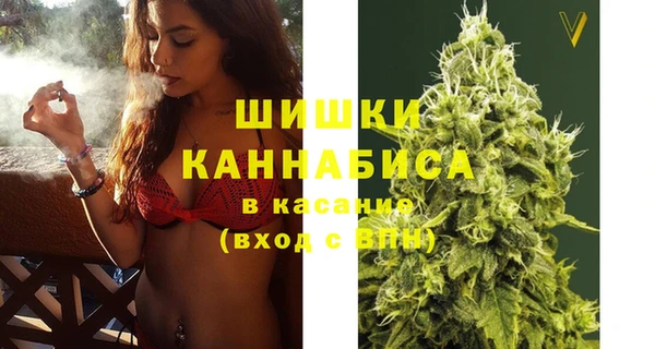 сатива Корсаков