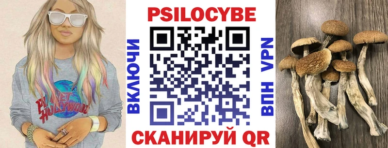 Псилоцибиновые грибы GOLDEN TEACHER  Купить закладки  Родники 