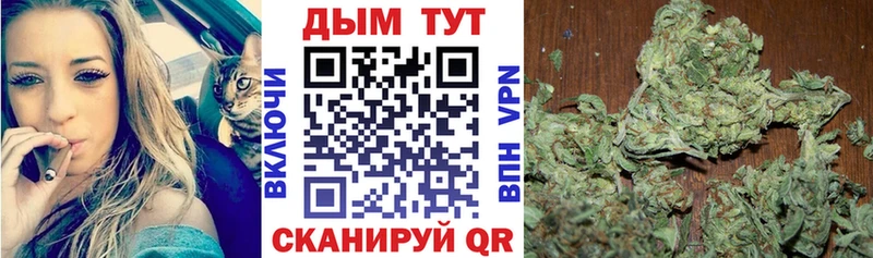 Шишки марихуана AK-47  Купить  Родники 